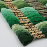 多美绣 法国DMC十字绣棉线 手工DIY25号欧式立体刺绣线青木和子套装单色 绿色系（25支色）