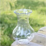 花无痕 风信子水培花瓶 玻璃花瓶 玻璃花盆 透明玻璃绿萝花瓶 富贵竹水养植物容器花盆 风信子塑料瓶