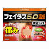 久光制药（Hisamitsu）日本久光制药Hisamitsu 5.0温冷感镇痛药膏贴膏药贴 温感14枚10cm*14cm