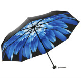 天堂伞雨伞遮阳伞太阳伞防晒防紫外线折叠伞晴雨伞两用胶囊便携迷你伞 （双层伞布）蓝花