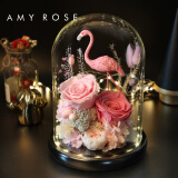 amyrose火烈鸟永生花玻璃罩摆件玫瑰花保鲜花干花礼盒情人节520生日