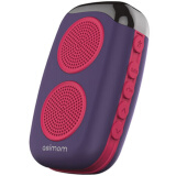 DOSS DS-1510无线蓝牙音箱 FM收音机便携迷你健身跑步运动户外老年人广场舞插卡小音响播放器 紫色