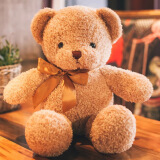 印象琉璃泰迪熊小熊公仔毛绒玩具抱抱熊小号布娃娃 小熊浅棕色丝带款50厘米