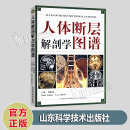 人体断层解剖学图谱 主编 刘树伟 山东科学技术出版社