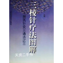 【二手书】三棱针疗法图解:贺氏针灸三通法之三 贺普仁 山东科学技术