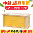 蜂之家中蜂巢框带框巢础蜜蜂蜂箱巢基成品全套养蜂专用工具10个装