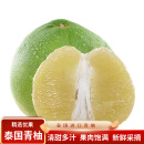 鲜惠源 泰国青柚 进口大果青皮柚子 新鲜水果生鲜 青柚2个（4.5斤左右）