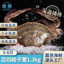 至鲜 梭子蟹1300g/5-6只整只当季液氮冷冻梭子蟹4-6两/只吕四黄海新鲜大螃蟹海鲜水产
