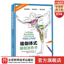 瑜伽体式解剖涂色书 瑜伽 瑜伽体式 瑜伽解剖 运动康复 北京科学技术