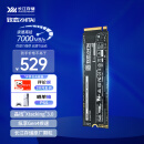 致态（ZhiTai）长江存储 1TB SSD固态硬盘 NVMe M.2接口 Ti600系列 (PCIe 4.0 产品)