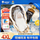 贝司令【鲜活】乳山生蚝海鲜水产贝类牡蛎烧烤4XL 净重9斤 18-24只箱装