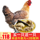 【买一只送一只】土记 新鲜散养2年土鸡 现杀现发老母鸡肉 杀前约3斤左右 整只装