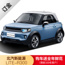 定金 北汽新能源lite-r300 2019款 纯电动车新能源汽车新车整车ev