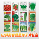 IDEAL白菜种子阳台盆栽香菜种籽生菜小葱黄瓜12种家庭蔬菜种子礼包 