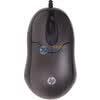 ���գ�HP��FM100
