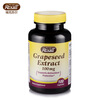 Rexall ����ն���������ȡ�ｺ��100��100mg  ������� Ԥ������ ����ԭװ����