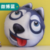 3d二哈士奇狗头抱枕被神烦犬柴犬公仔表情包暖手枕头doge搞怪靠枕24