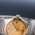 欧米茄（OMEGA）手表男 星座系列自动机械日历100m防水瑞士天文认证腕表35mm 间金金盘123.20.35.20.08.001
