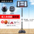 乃力 标准篮球架 可升降篮球框移动简易篮球架 家用户外篮球架 标准版 伸缩调节+标准框+框网