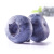佳沃（joyvio）进口蓝莓 4盒装 125g/盒 生鲜水果