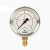 威卡EN837-1 德国压力表 不锈钢耐震213.53真空表气压 油压表 01bar/00.1MPa