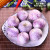 华田禾邦 云南玉溪 紫皮(独蒜) 3斤 新鲜大蒜干大蒜 时令新鲜蔬菜