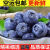 水果蔬菜正宗云南玉溪蓝莓颗大汁多当季云南新鲜甜口蓝莓孕妇xx 6盒（125g/盒）