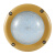FSL佛山照明FBD0109 120W 6500K白光 220V Exd IIC T6 Gb/Ex tD A21 IP66 T80℃LED防爆灯(计价单位：盏)黄色