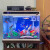 森森（SUNSUN） 超白玻璃小鱼缸客厅小型桌面家用水族箱生态免换水金鱼缸 HE480高档缸内置棉滤材（48*30*40cm）
