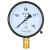 SYCIF Y-100 径向压力表指针式高精度水压油压气压表 0-1.6MPa（16公斤）