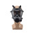 护力盾 05防毒面具（FNJ05）单面具+君品罐+迷彩包+盒子 可替换滤芯防毒面具套装 5套起售