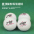 红双喜乒乓球3星2星1星训练球新材料比赛专用用球兵乓球WTT东京乓兵球 赛顶一星球(白色10只装)