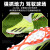 阿迪达斯 （adidas）足球鞋男鞋春季X CRAZYFAST.3 人造草地比赛运动鞋 IF0677 42