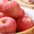 鲜合汇优烟台红富士苹果 新鲜水果 5斤整箱/单果75-80mm/净重4.0斤