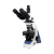 彼爱姆 BM-57XC 偏光显微镜 1