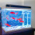 森森（SUNSUN） 超白玻璃小鱼缸客厅小型桌面家用水族箱生态免换水金鱼缸 HE480高档缸内置棉滤材（48*30*40cm）