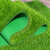 谐晟 仿真草坪地毯人造草皮装饰户外围挡绿植 1厘米翠绿色 1平