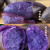 尤乐嘉甘肃黑土豆新鲜紫土豆西北特产紫色马铃薯含花青素蔬菜乌洋芋 黑土豆种子5斤