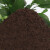 幸悦营养土养花土种菜绿萝多肉肥料通用型盆栽花卉有机种植土壤 10斤土