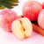 鲜合汇优烟台红富士苹果 新鲜水果 5斤整箱/单果75-80mm/净重4.0斤