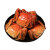 润和味大闸蟹鲜活蟹现货苏州大螃蟹母螃蟹可全公全母水产螃蟹 4.8-5.2公 3.8-4.2母 5对10只