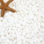 派乐特 鱼缸底砂造景装饰石沙子鹅卵石龟缸多肉装饰用品白玉白石头1000g