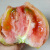 寿禾草莓番茄种子铁皮柿子春季种籽 潍育系列番茄梦草莓番茄种子20粒 