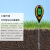 麦哲伦（Magellan）品质土壤测试仪土壤湿度计soil温度土壤ph计四合一土壤检测仪