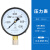 SYCIF Y-100 径向压力表指针式高精度水压油压气压表 0-0.06MPa(0.6公斤)