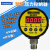 椁俊上海铭控智能压力控制器电子数显压力表空压机开关水气压MD-S910 0~0.25MPA(2.5公斤)