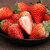 京鲜生 丹东99红颜奶油草莓 900g装 单果18g+ 新鲜水果礼盒