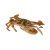 海蕴极鲜【活鲜】鲜活梭子蟹 新鲜花盖蟹海蟹石蟹烧烤食材 大花盖蟹500g3-4只
