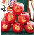 十里馋龙行大运轻奢豪华升级高端混合新鲜苹果水果礼盒元旦新年节日送礼 1g 龙行大运套餐+围巾