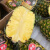 进口菲律宾sw蜂蜜凤梨新鲜水果黑钻凤梨精选大果树上熟金菠萝甜蜜 2颗（约7斤）